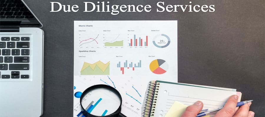 Due-Diligence-Services